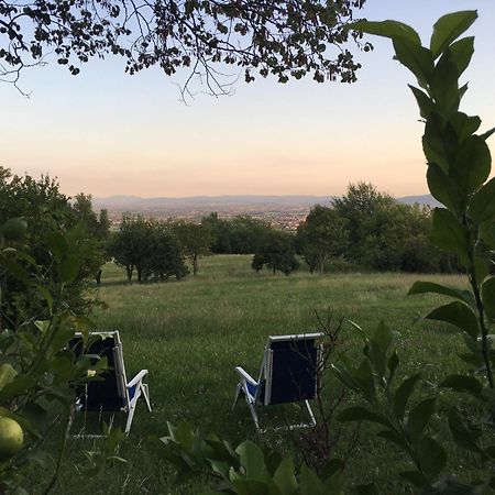 Villa Tugurio. La Tua Casa Immersa Nel Verde Grumolo Pedemonte Buitenkant foto