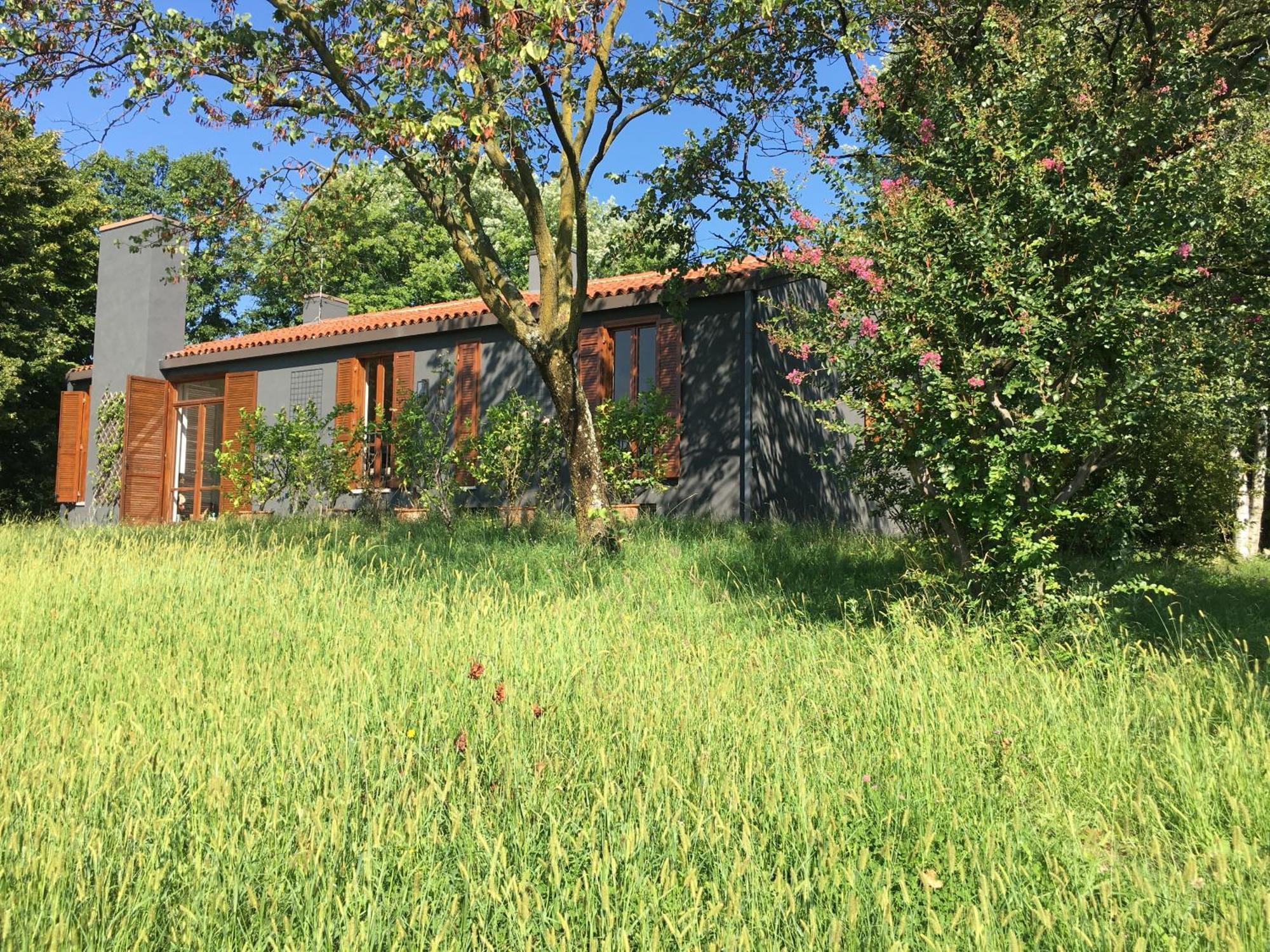 Villa Tugurio. La Tua Casa Immersa Nel Verde Grumolo Pedemonte Buitenkant foto