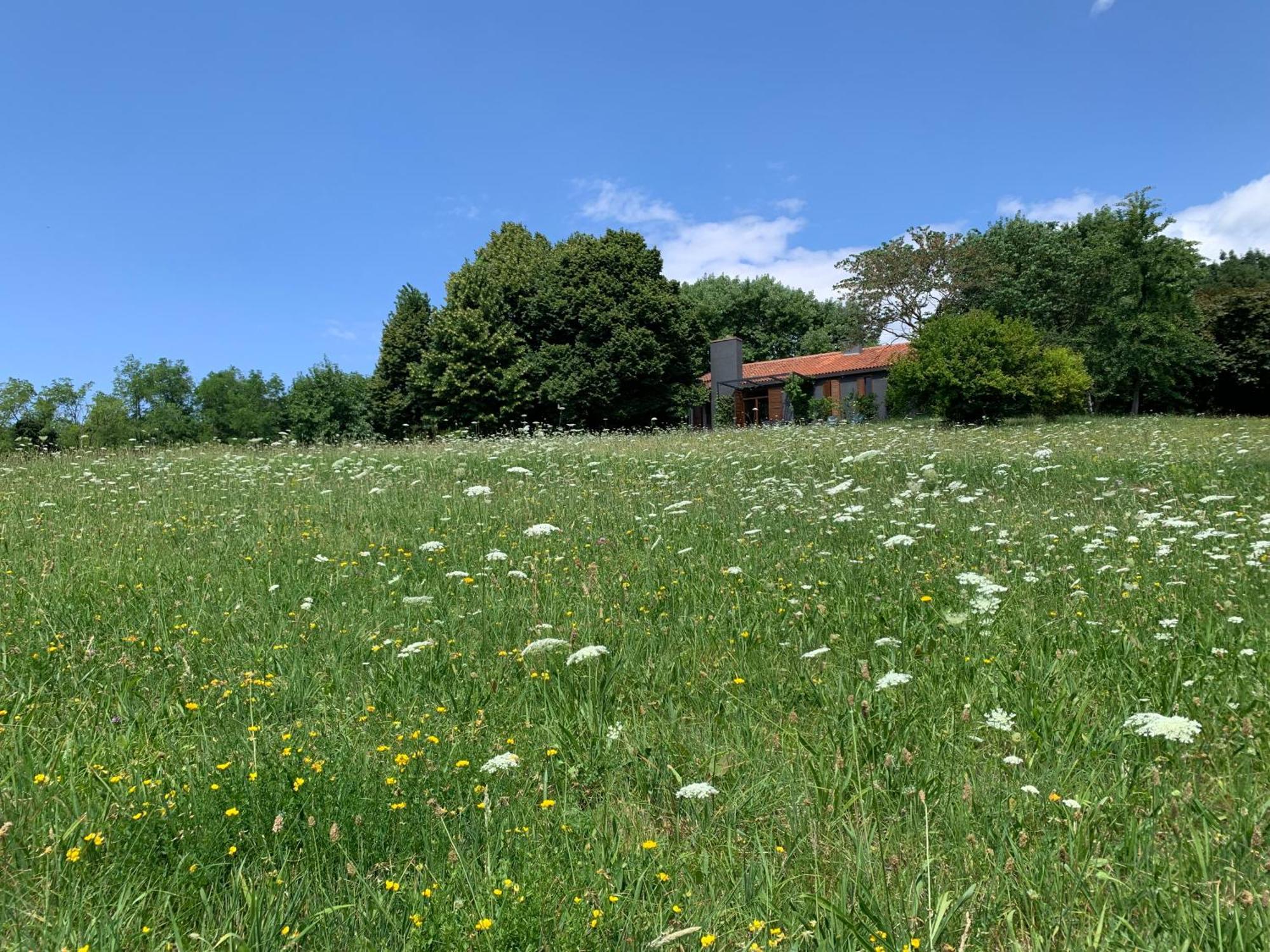 Villa Tugurio. La Tua Casa Immersa Nel Verde Grumolo Pedemonte Buitenkant foto