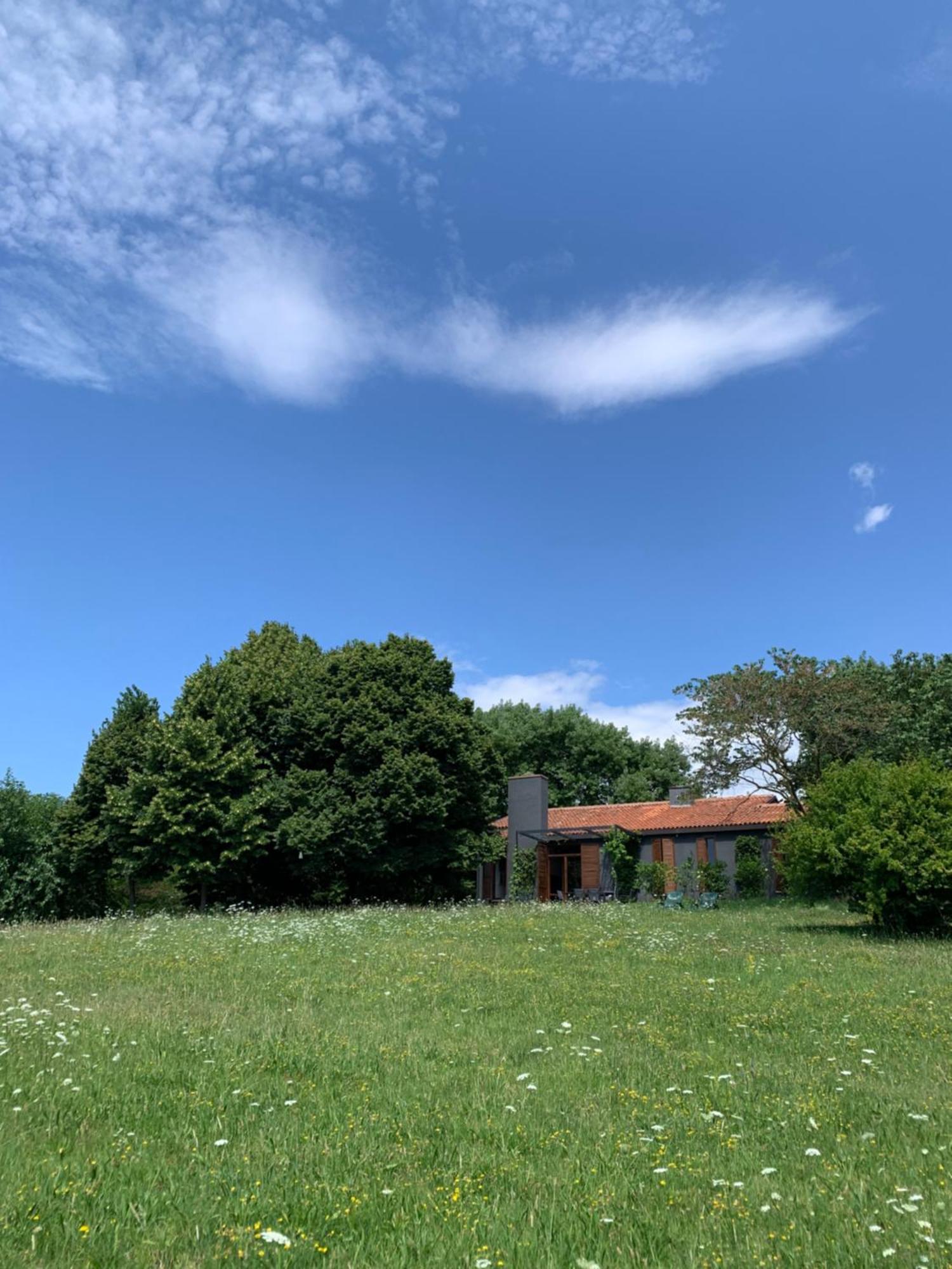 Villa Tugurio. La Tua Casa Immersa Nel Verde Grumolo Pedemonte Buitenkant foto