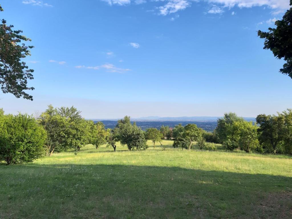 Villa Tugurio. La Tua Casa Immersa Nel Verde Grumolo Pedemonte Buitenkant foto